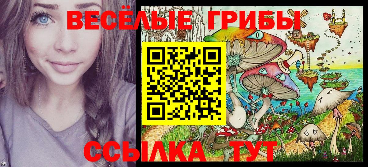Донской  Галлюциногенные грибы ЛСД  Галлюциногенные грибы прущие грибы  Вход с VPN 